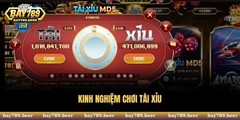 Kinh Nghiệm Chơi Tài Xỉu - Tổng Hợp Cách Đánh Hay Nhất